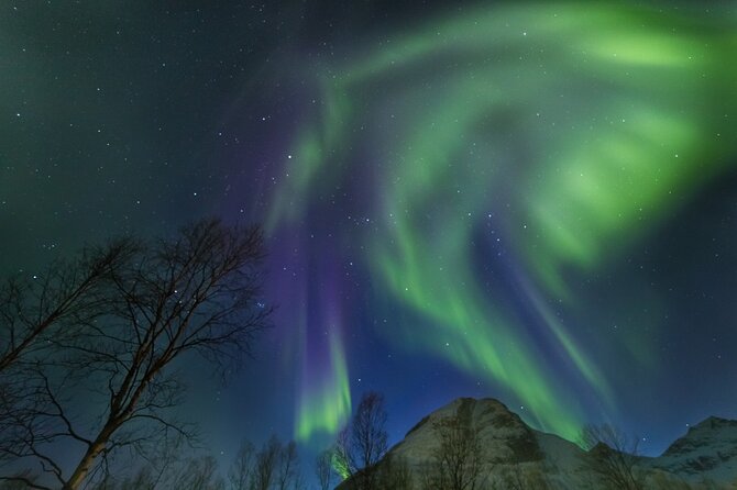 Northern Lights Chase by Bus in Tromso - Last Words