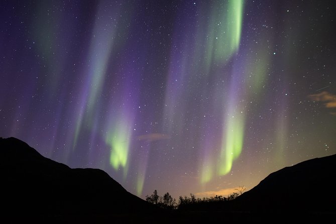 Northern Lights Safari From Tromso - Highlights