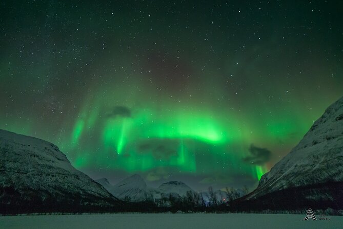 Northern Lights Small-Group Tour From Tromso, Including Photography Tips - Viator Information
