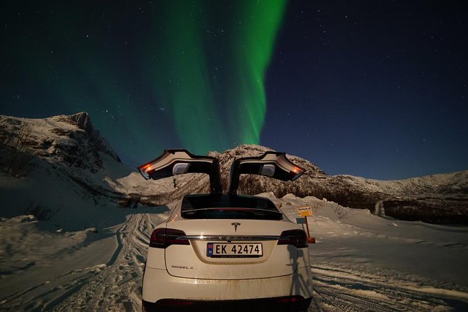Northern Lights - Teslax Ecofriendly Car - Reviews and Ratings Insights