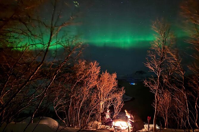 Northern Lights Tour With Hot Food and Drinks in Tromso - Booking Information