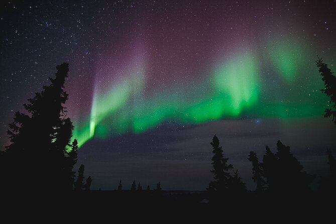 Northern Lights Viewing at Murphy Dome - Cancellation Policy