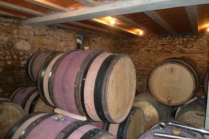 Northern Rhône Valley Wine Half Day Tour From Lyon - Specific Wine Tour Experiences