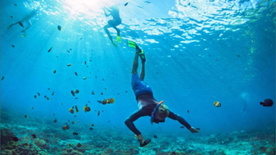 Nusa Penida Instagram Tour & Snorkelling From Bali - Snorkeling Experience