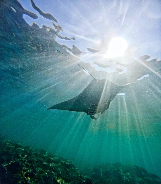Nusa Penida: Snorkeling in 4 Spots (Manta Rays) Land Tour - Land Tour Itinerary
