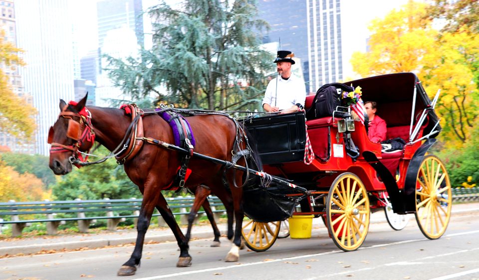 NYC: Central Park Horse-Drawn Carriage Ride (up to 4 Adults) - Booking and Experience Details
