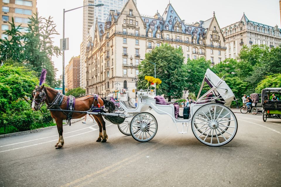 NYC: Guided Central Park Horse Carriage Ride - Customer Reviews