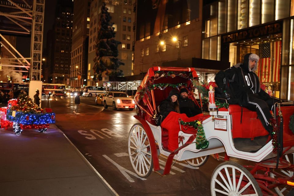 NYC: Magical Christmas Lights Carriage Ride (Up to 4 Adults) - Reservation Details