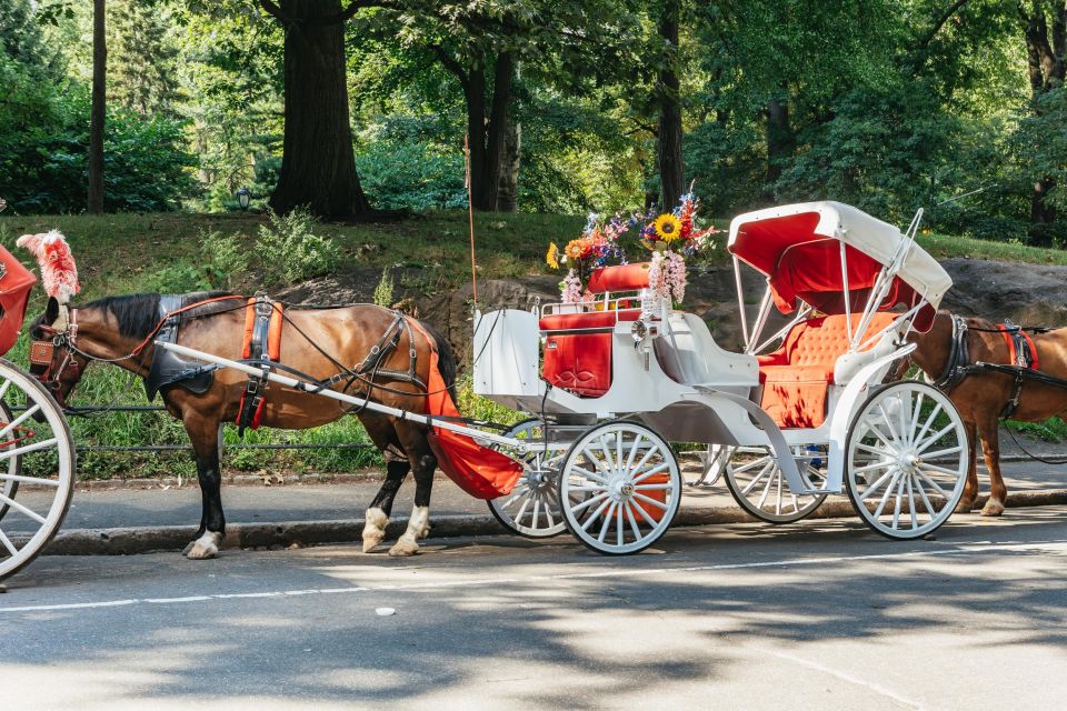 NYC MAGICAL NIGHT TIME RIDE Central Park/Rockefeller Center - Inclusions Provided