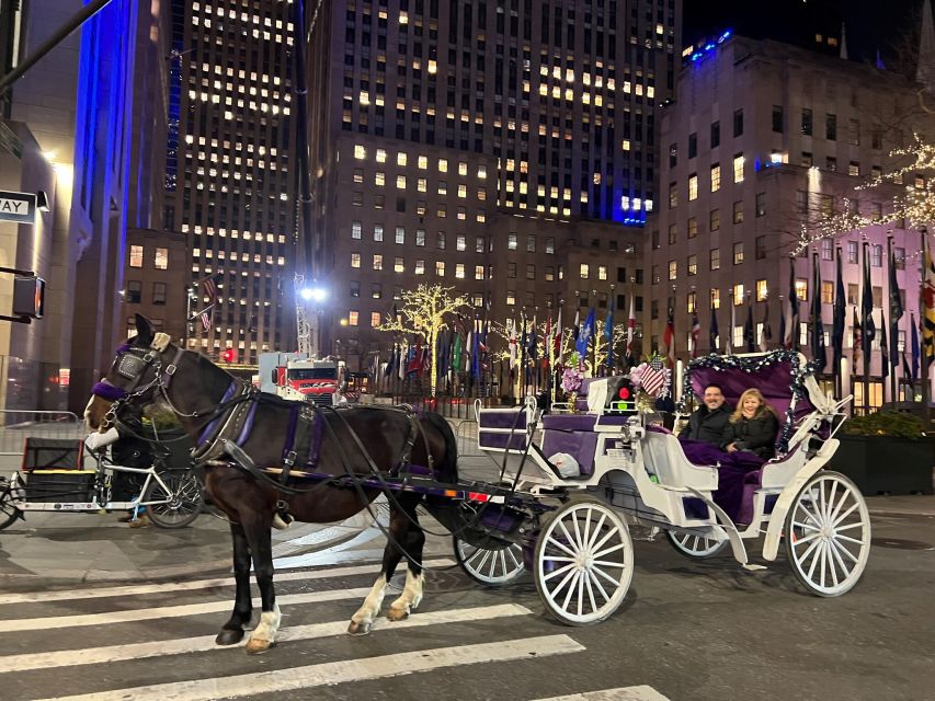 NYC: Private Central Park Horse Carriage Ride With Guide - Customization and Options