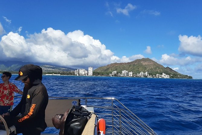 Oahu 3pm Whale Watching Sail From Honolulu - Additional Information