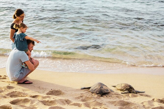 Oahu Highlights, Turtles & North Shore - Small Group Circle Island Tour - Tour Experience Highlights