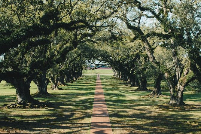 Oak Alley Plantation and Small Airboat Tour From New Orleans - Guest Experiences and Recommendations