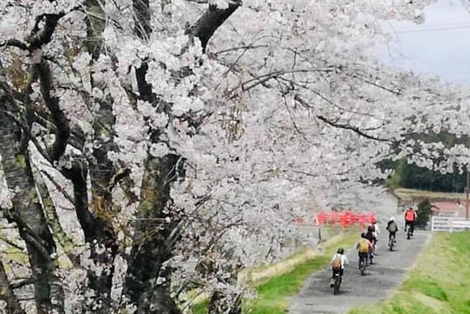 Oasa Country Cycling (Easy Access From Hiroshima 1 Hr Scenic Bus) - Cancellation Policy