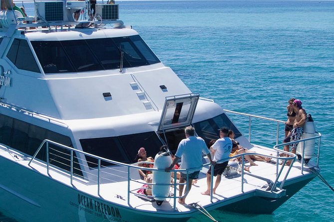 Ocean Freedom Great Barrier Reef Luxury Snorkel & Dive Cruise - Customer Satisfaction and Service Quality