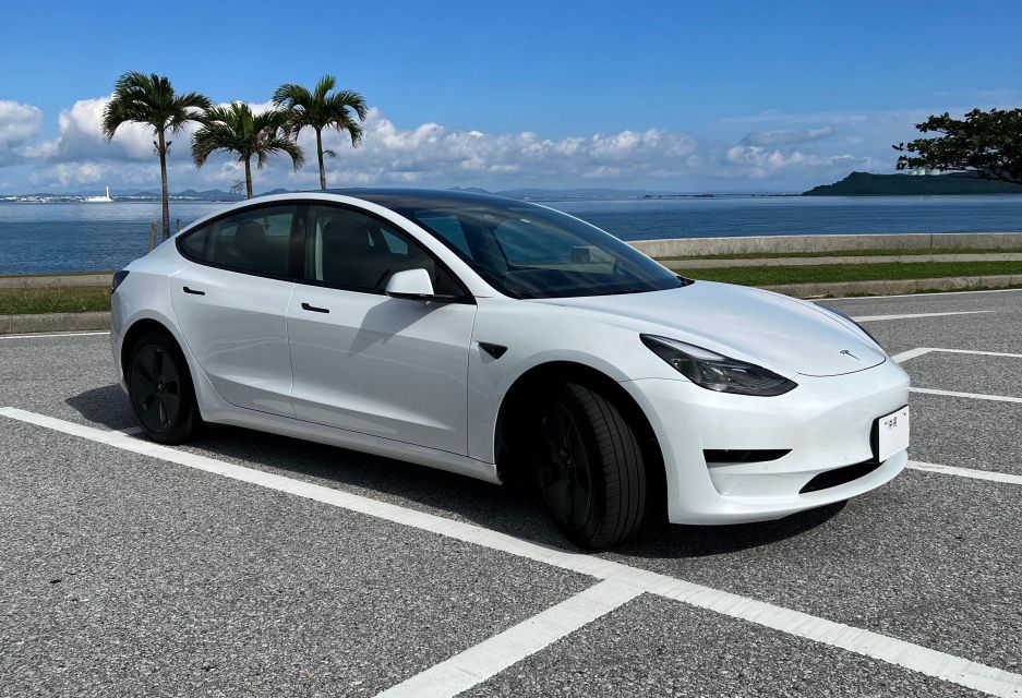 Okinawa Car Rental With Tesla - Pricing Details and Group Size