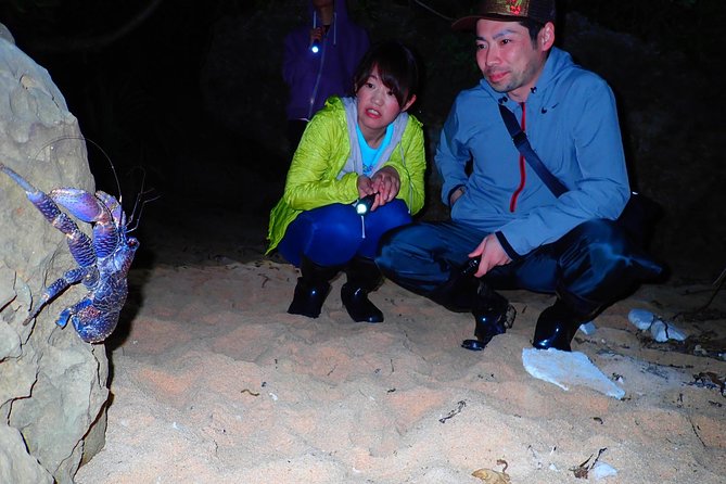 [Okinawa Iriomote] Night Adventure Tour - Reviews and Ratings Overview