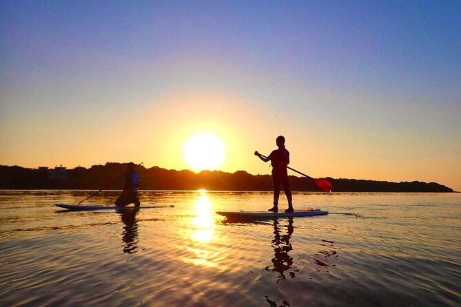 [Okinawa Iriomote] Sunrise SUP/Canoe Tour in Iriomote Island - Reviews and Ratings Overview