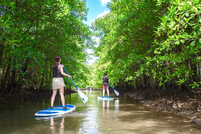 [Okinawa Iriomote] Sup/Canoe Tour in a World Heritage - Contact and Pricing