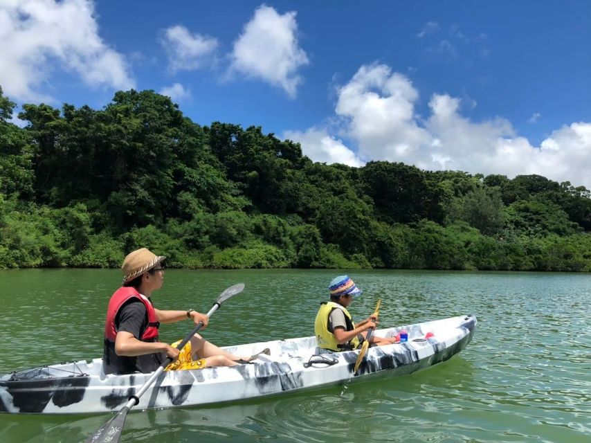 Okinawa: Mangrove Kayaking Tour - Safety Precautions