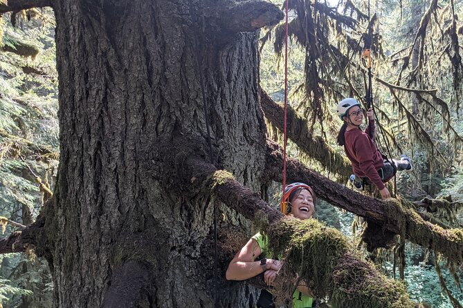 Old-Growth Tree Climbing at Silver Falls State Park - Common questions