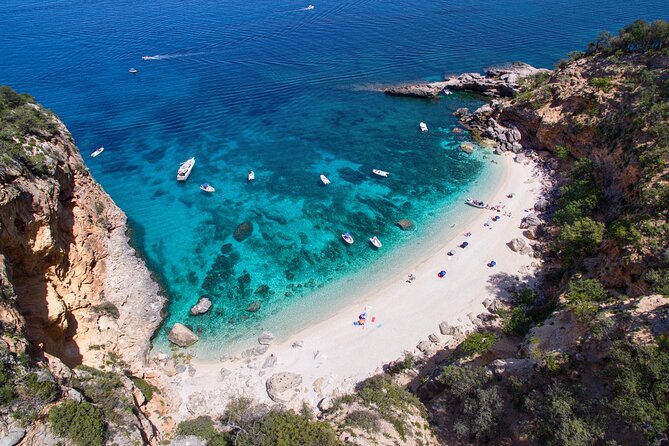 One Day Guided Boat Tour Along the Baunei Coast - Customer Feedback - Positive Experiences and Recommendations