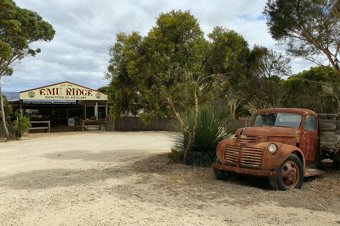 One Day Kangaroo Island Sip & See Tour With Return Ferry Transfers From Adelaide - Expert Guided Tour