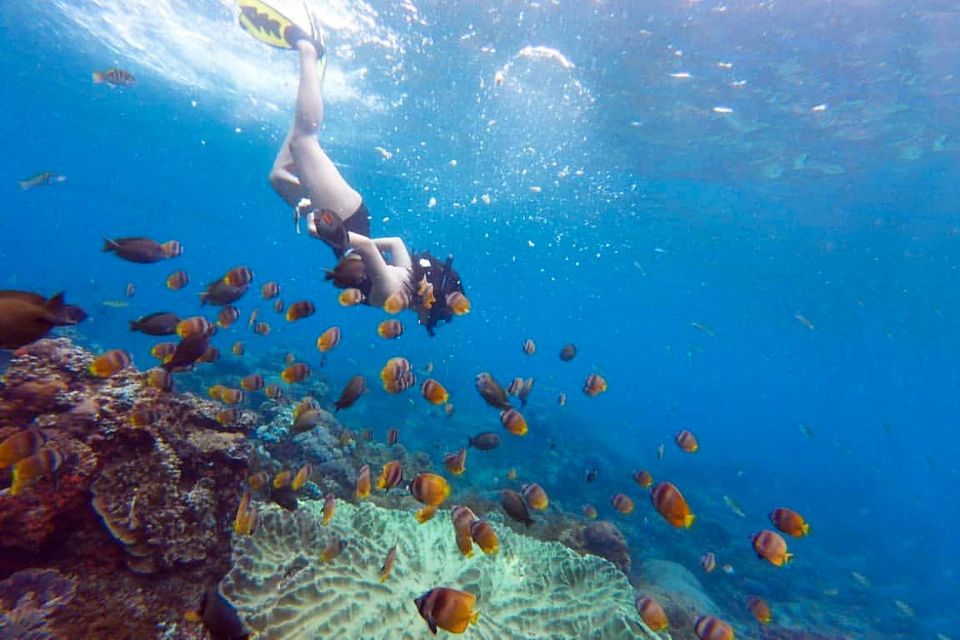One Day Nusa Penida Snorkeling and Island Tour Combination - Additional Information and Considerations