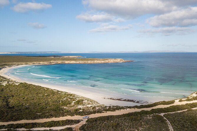 One Day Port Lincoln Tour - Tasting Eyre - Pricing and Legal Information