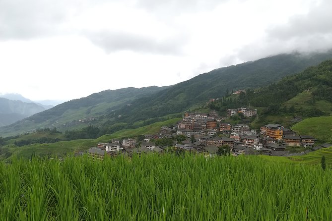 One Day Private Longshen Rice Terraces Tour Including Lunch - Contact Details