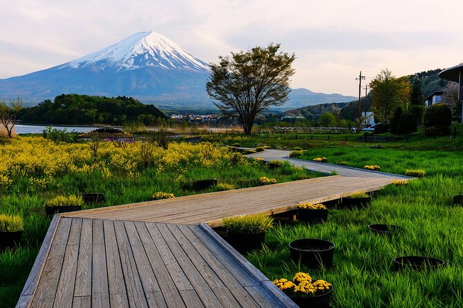 One Day Private Tour of Mt Fuji With English Speaking Driver - Customer Reviews and Testimonials