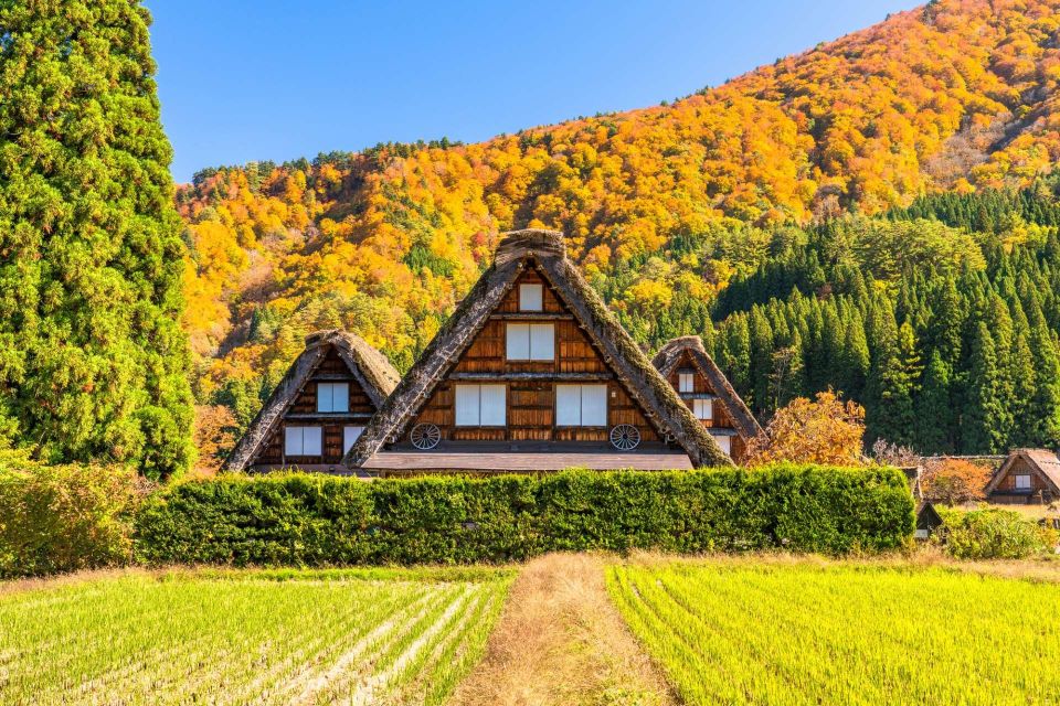 One Day Private Tour To Shirakawago & Takayama Eng Driver - Additional Information and Tips