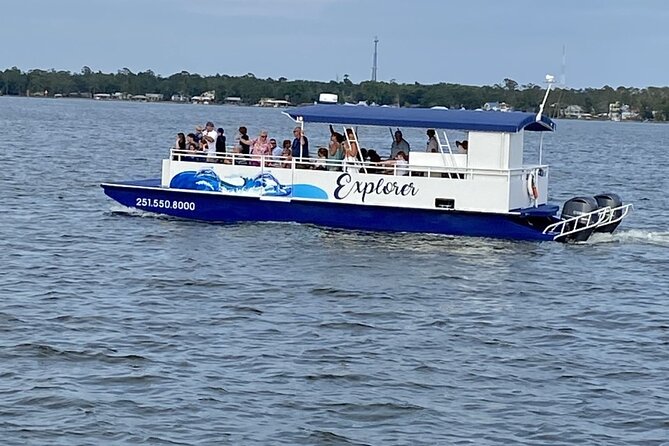 Orange Beach Dolphin Eco Boat Tour - Customer Reviews and Feedback
