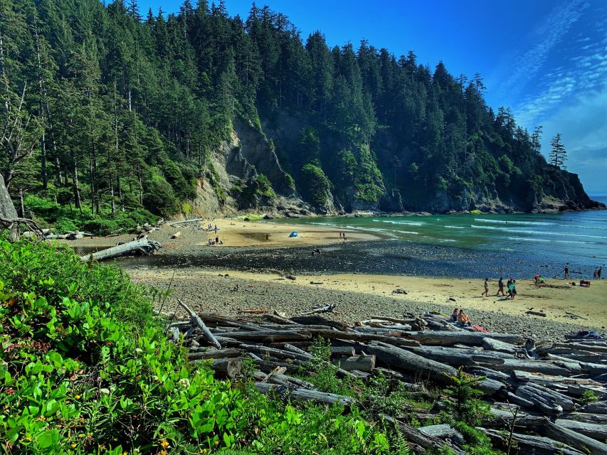 Oregon Coast Day Tour: Cannon Beach and Haystack Rock - Tour Description