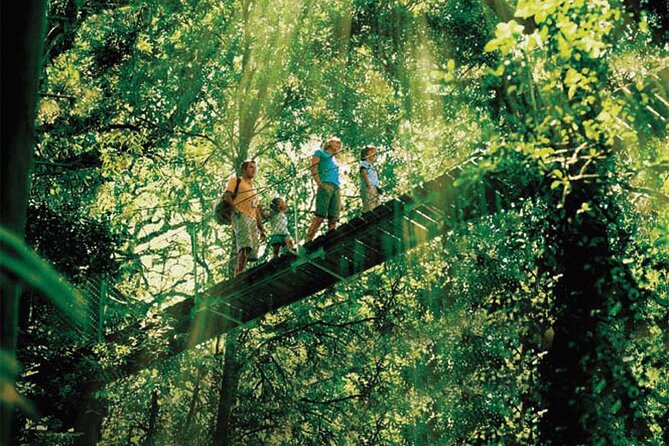 Oreillys & Lamington National Park From Gold Coast - Booking Process and Information