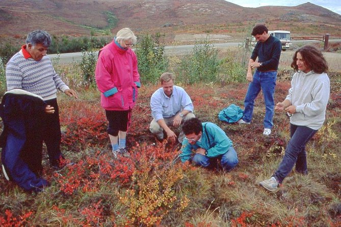 Original Arctic Circle Drive From Fairbanks - Memorable Moments and Recommendations