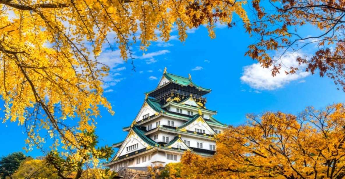 Osaka: 10-Hour Customizable Tour With Private Car - Additional Services Available