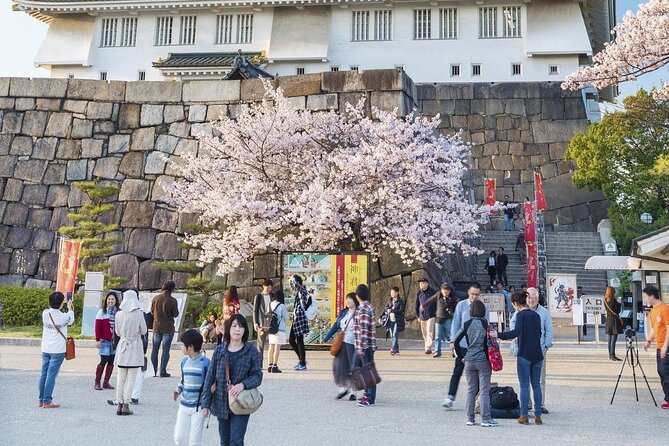 Osaka Cherry Blossom Tour With a Local: 100% Personalized Private - Reviews and Testimonials