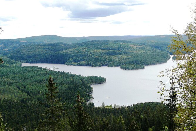 Oslo Nature Walks: Forest to Fjord - Common questions