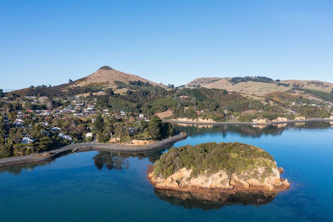 Otago Peninsula In-Depth Tour & Blue Penguins Pukekura Experience - Larnach Castle Pick-Up Information