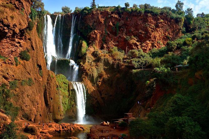 Ouzoud Waterfalls Day Tour From Marrakech (Mar ) - Traveler Reviews and Ratings