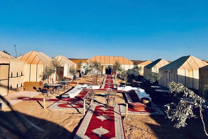 Overnight Stay in Desert Camp & Camel Trekking in the Sahara - Additional Information