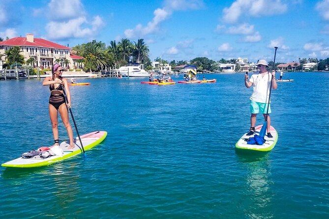 Paddleboard Tour Through Lido Mangrove Tunnels - Equipment Provided