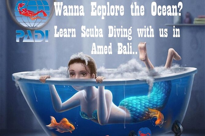 Padi Discover Scuba Diving In Amed Bali - Reviews and Customer Support