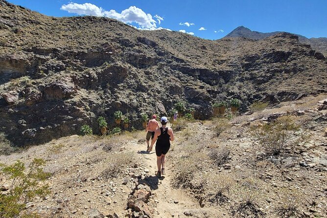 Palm Springs Hike to an Oasis and Amazing Desert Views - Customer Reviews on Carlos Guided Hikes
