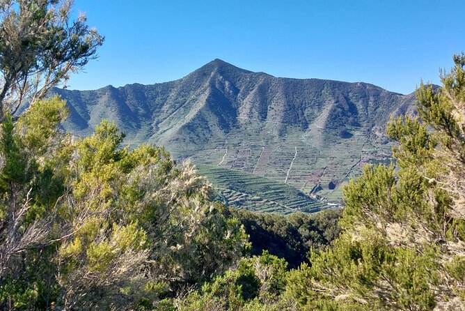 Panoramic Route Across the Teno Rural Park in Tenerife - Tour Logistics