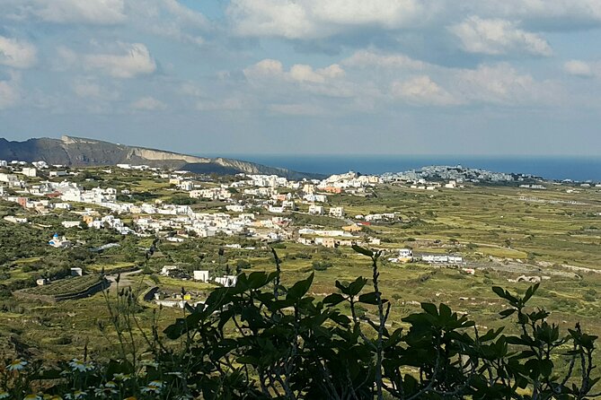 Panoramic Views Santorini Private Tour for Travelers With Limited Mobility - Safety Measures