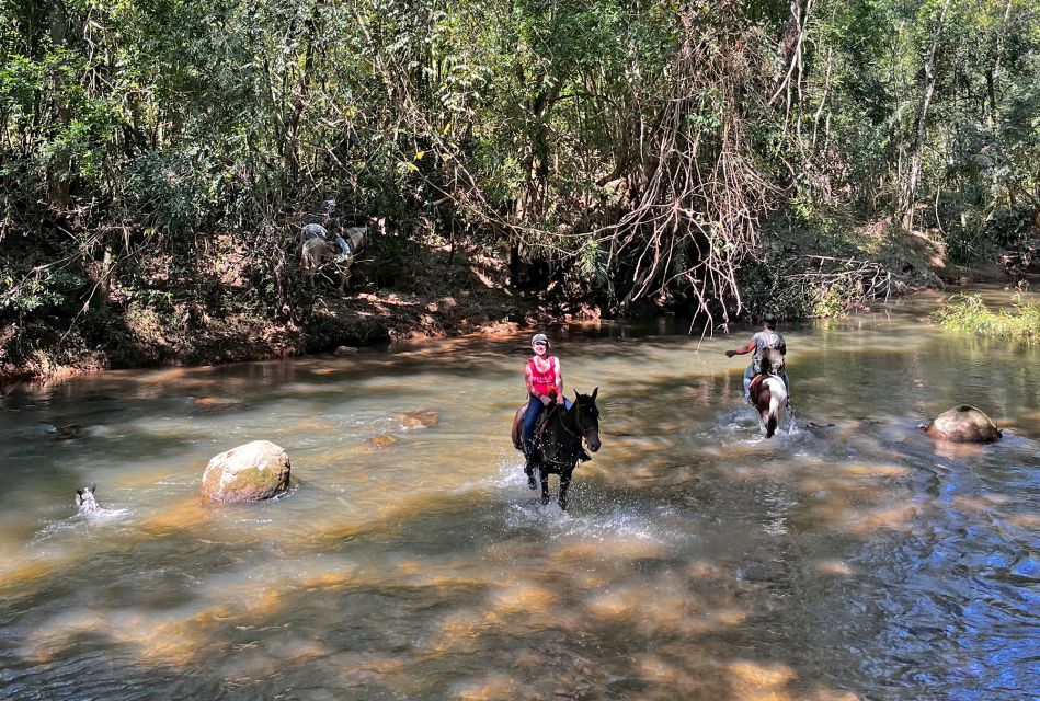 Paraty: 3-Hour Rainforest Horseback Ride - Important Information