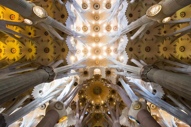 Park Guell & Sagrada Familia Skip the Line Tour in Barcelona - Overall Visitor Experience and Feedback