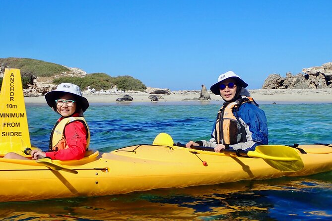 Penguin and Seal Islands Sea Kayaking Experience - Customer Support and Queries